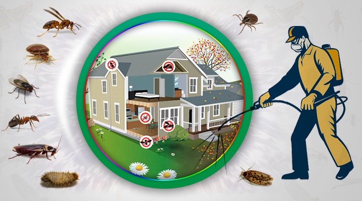 Eyyübiye Böcek İlaçlama