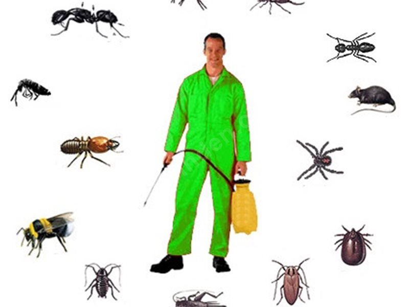 Eyyübiye Böcek İlaçlama